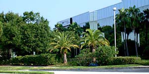 Nielsen Media Research